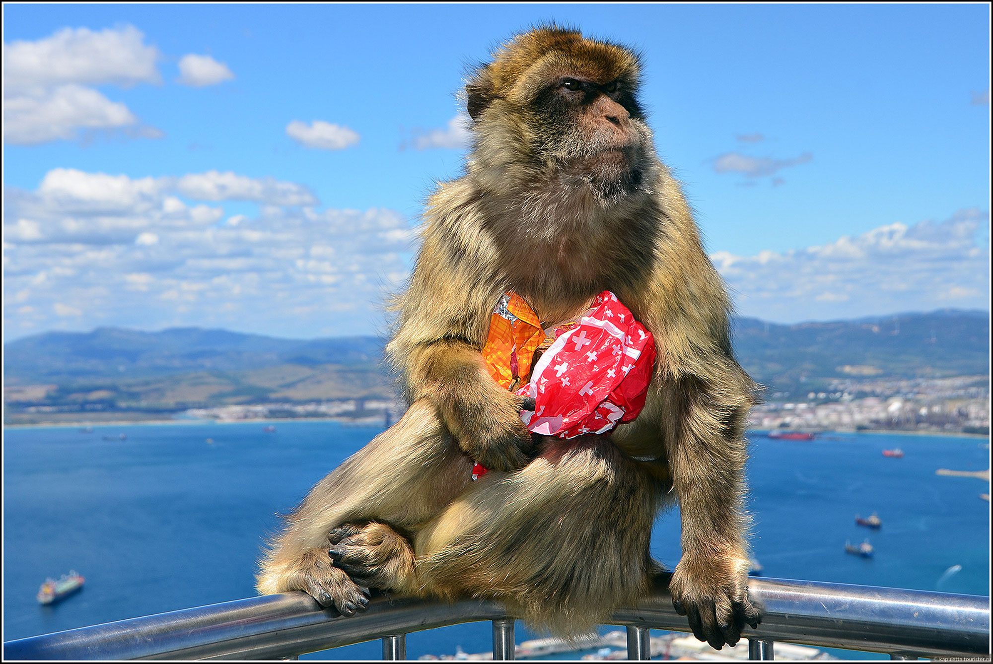 Gibraltar